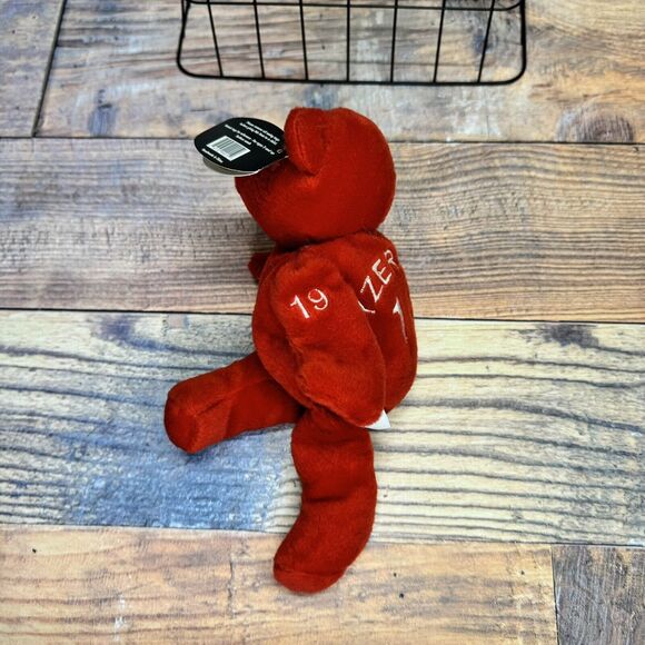 Steve Yzerman Salvinos Bammers 9" Bean Bag Plush‎ Bear NHL Detroit Red Wings #19 - Picture 6 of 9